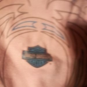 HarleyDavidson womans windsock